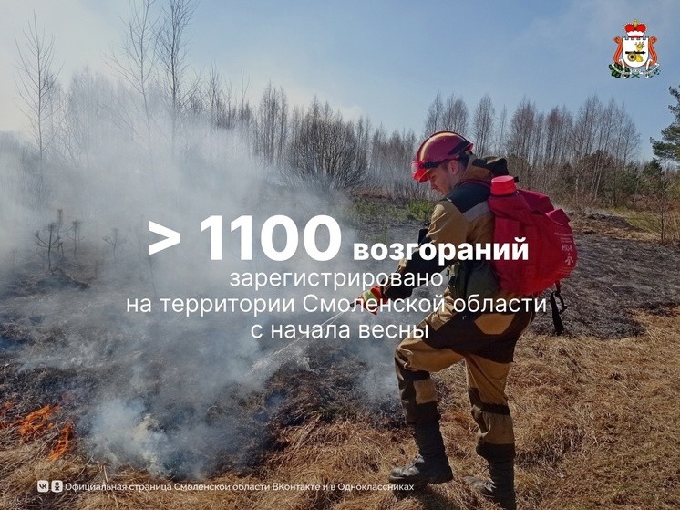 На территории Смоленска установился средний и высокий классы пожарной опасности