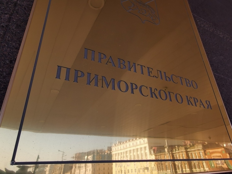 Сын экс-губернатора Наздратенко покинул пост в правительстве Приморья