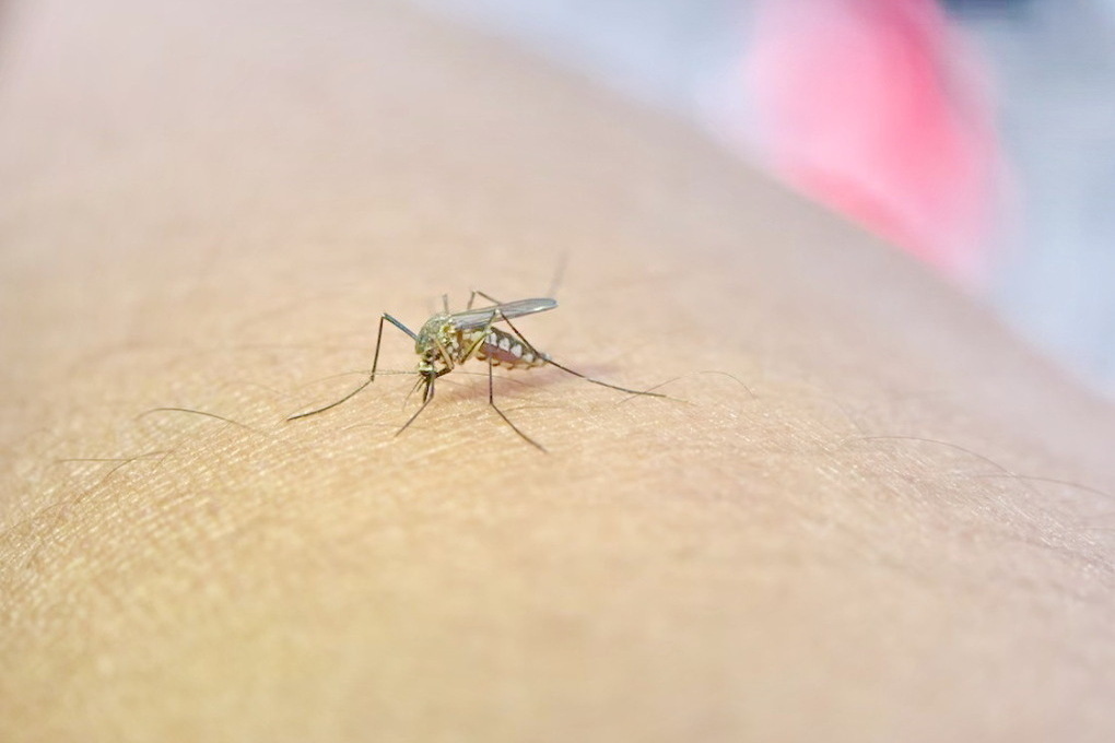 Фото: Freepik.com