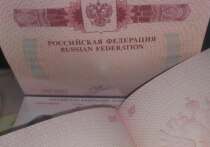 В Приморском крае завершается период действия «миграционной амнистии», в рамках которой иностранные граждане, находящиеся на территории России с нарушениями миграционного законодательства, могут добровольно легализовать свое пребывание без угрозы депортации и запрета на въезд