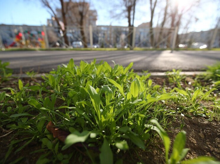 В Астраханской области 24 апреля ожидаются дожди и жара до +29 градусов