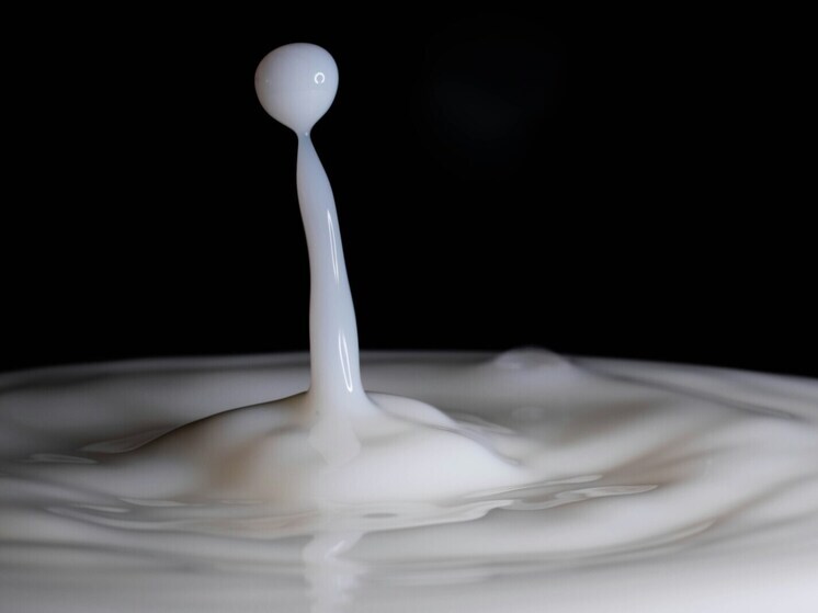 В ДНР производителям молока дадут субсидию в 142 млн рублей