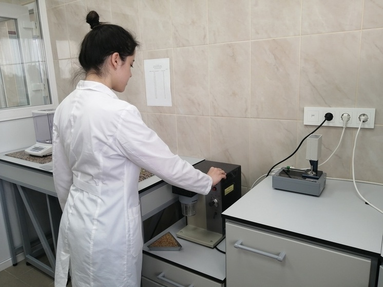 В Чувашии стартует государственный мониторинг качества пшеницы