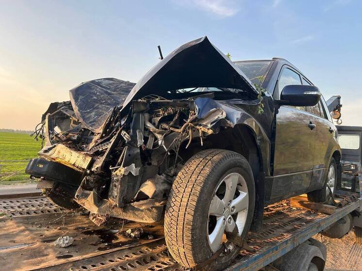 Пожилая пара на иномарке врезалась в дерево на брянской трассе под Почепом