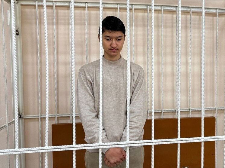 Закладчик из Узбекистана попал за решетку в Курске