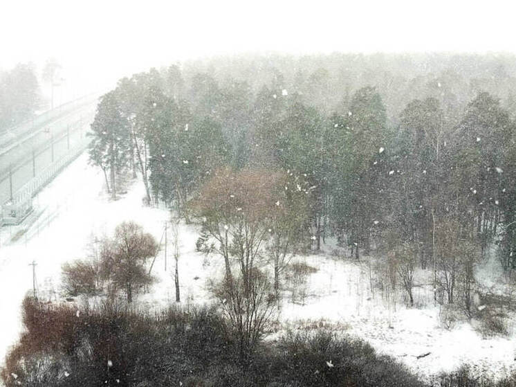 Гидрометцентр предупреждает: грядет серьезное похолодание - метеорологи обещают заморозки