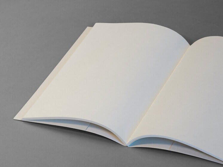 В ЛНР для написания «Диктанта Победы» организуют свыше 200 площадок