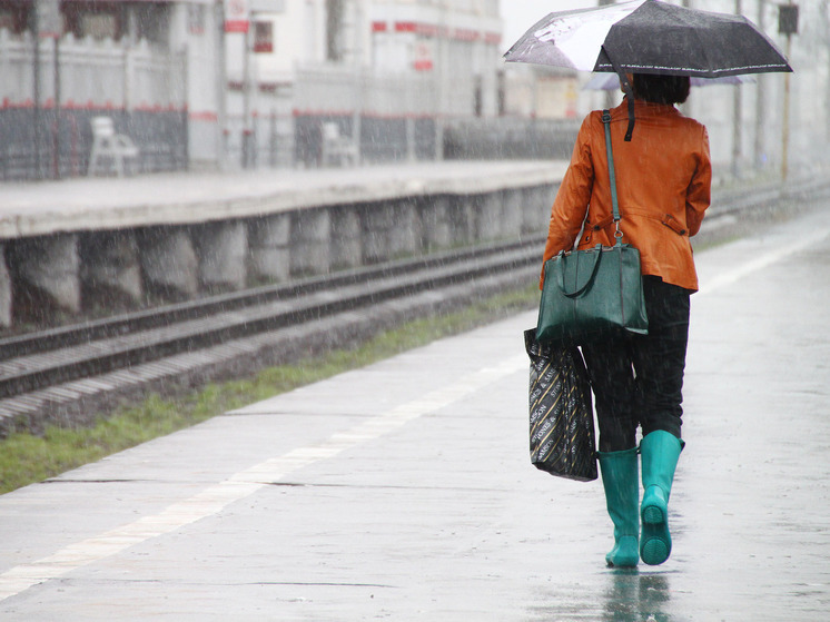 Заморозки и снег вернутся в Подмосковье на этих выходных