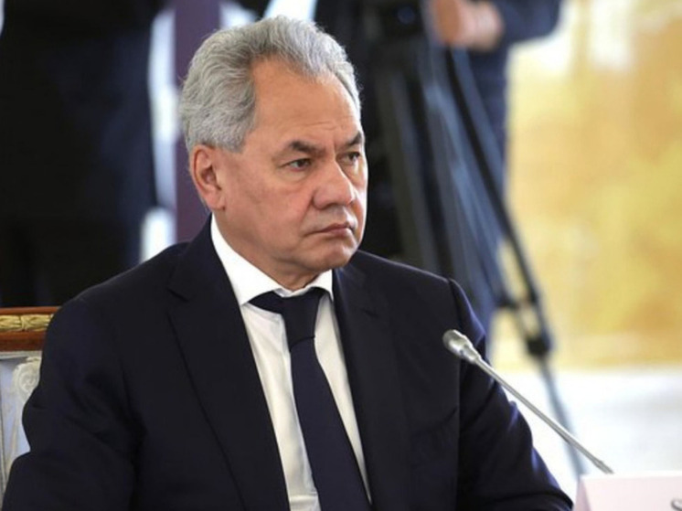 Шойгу: Россия оставляет за собой право применить ядерное оружие