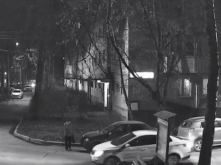 В Химках задержали парня за мошенничество в особо крупном размере