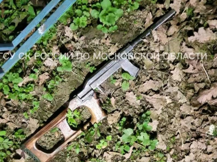 По факту убийства женщины в Климовске возбудили уголовное дело