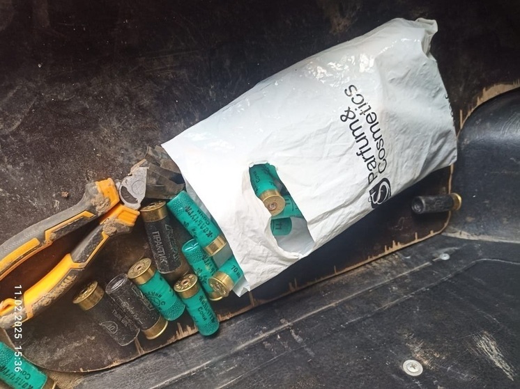 В Сочи таможенники обнаружили в сумке пассажира патроны