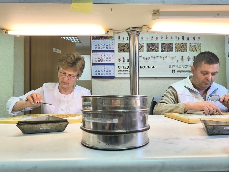 Вкусный хлеб и ароматное масло. Как в ДНР проверяют качество продуктов