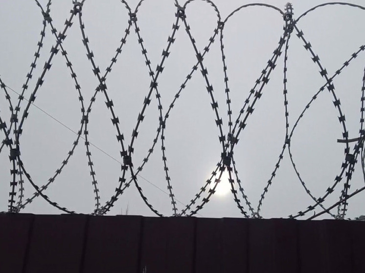 Топ-менеджеров «Россетей» приговорили за взятки в особо крупном размере