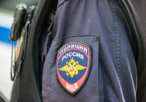 Уроженец Украины задержан в Москве по подозрению в насильственных действиях сексуального характера в отношении 10-летней девочки