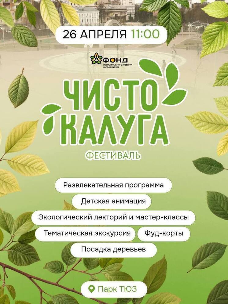 Калужан призывают весело навести порядок