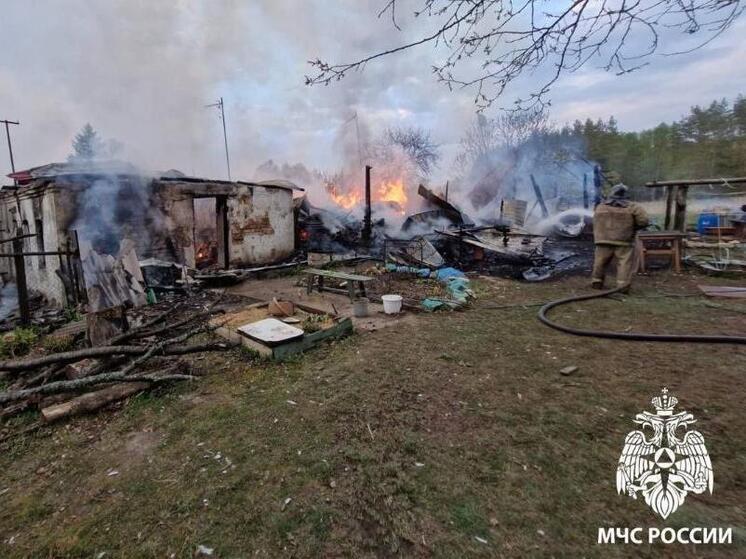 Два жилых дома сгорели в Михайловском округе из-за аварии на электросетях