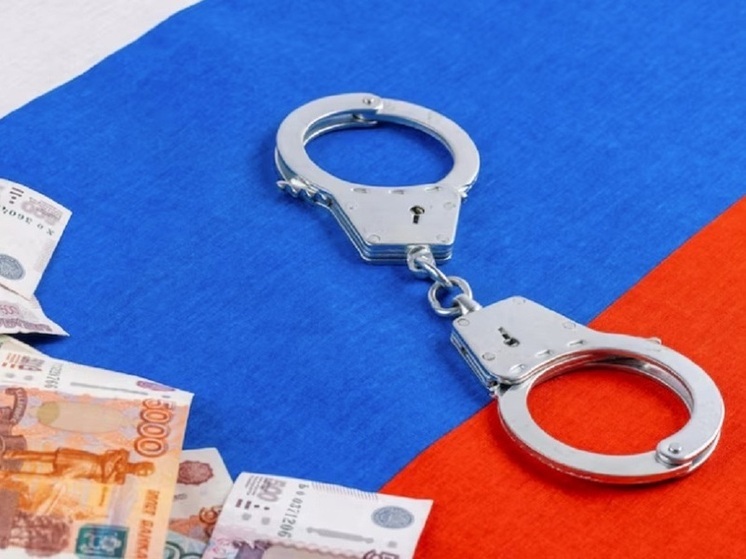 Житель Воронежской области предложил взятку полицейскому и оказался под следствием