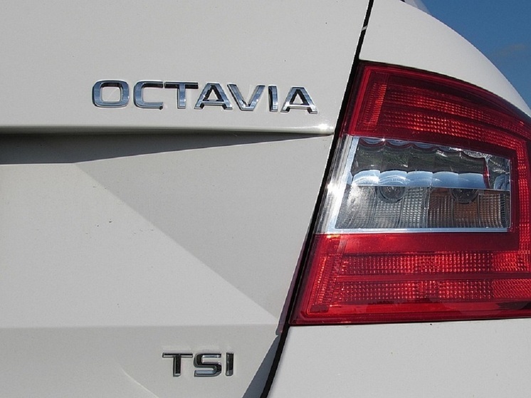 Стало известно о начале продаж новых лифтбеков Skoda Octavia Pro в России