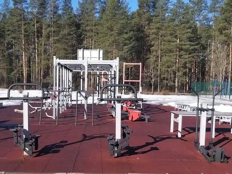 На укрепление мышц ленинградцев выделят 13 миллионов бюджетных рублей