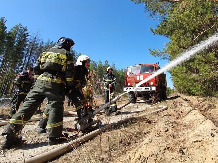 В Порецком округе потушили лесной пожар
