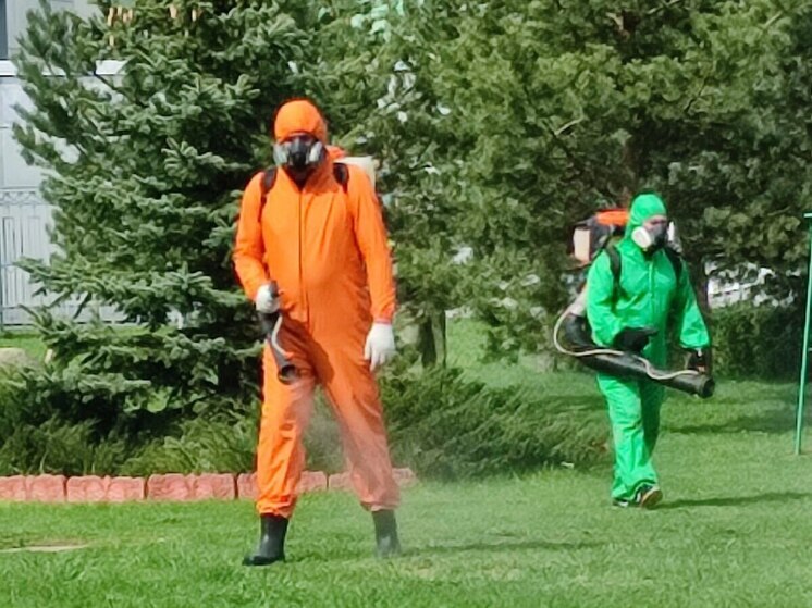 В Псковской области продолжается борьба с клещами