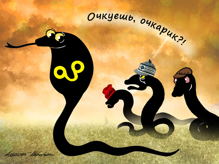 Коллекционер жизни