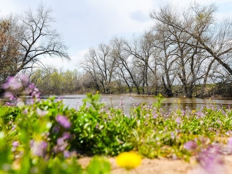 Народные приметы на 25 апреля, или Что лучше не делать в день Василия Парильщика