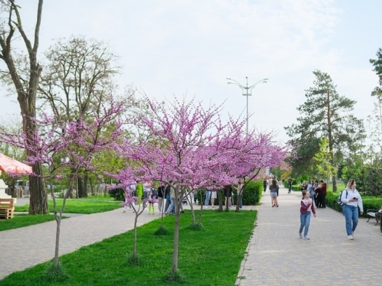 Волгоградский ЦПКиО получил премию «Парки России»