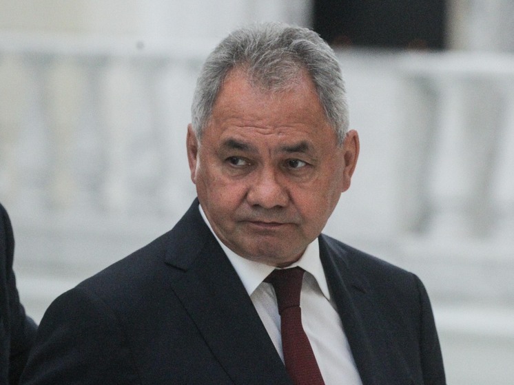 Шойгу: Совбез готовит предложения по корректировке Стратегии нацбезопасности РФ