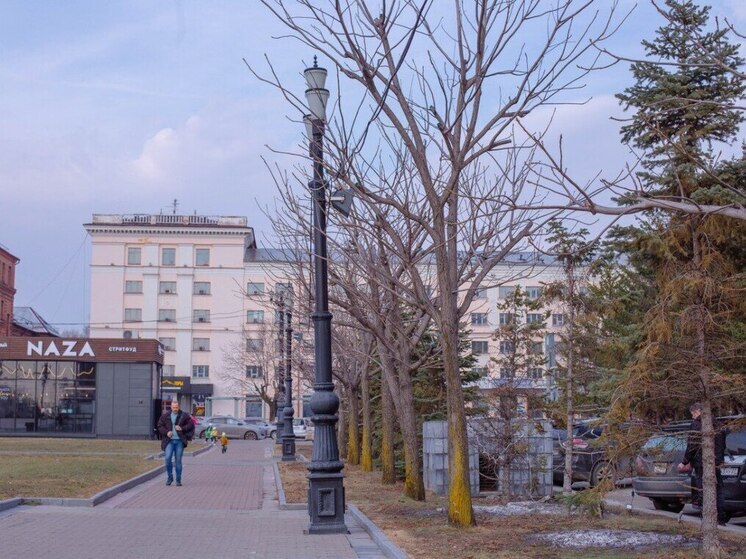 В Хабаровске 25 апреля днем столбик термометра опустится до отметок +6 +8 градусов