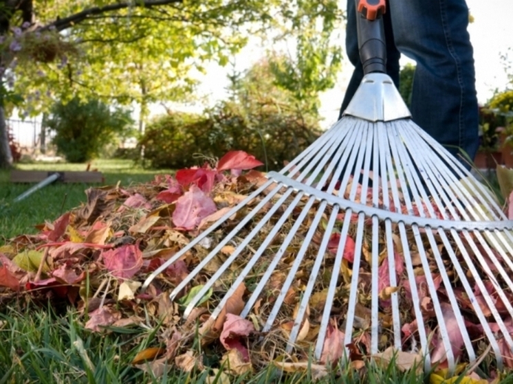 В Комсомольске-на-Амуре из-за дождей перенесли субботник