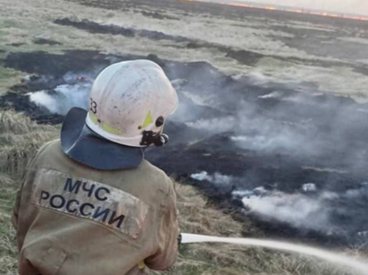 Около алтайского села произошел ландшафтный пожар площадью 1500 «квадратов»