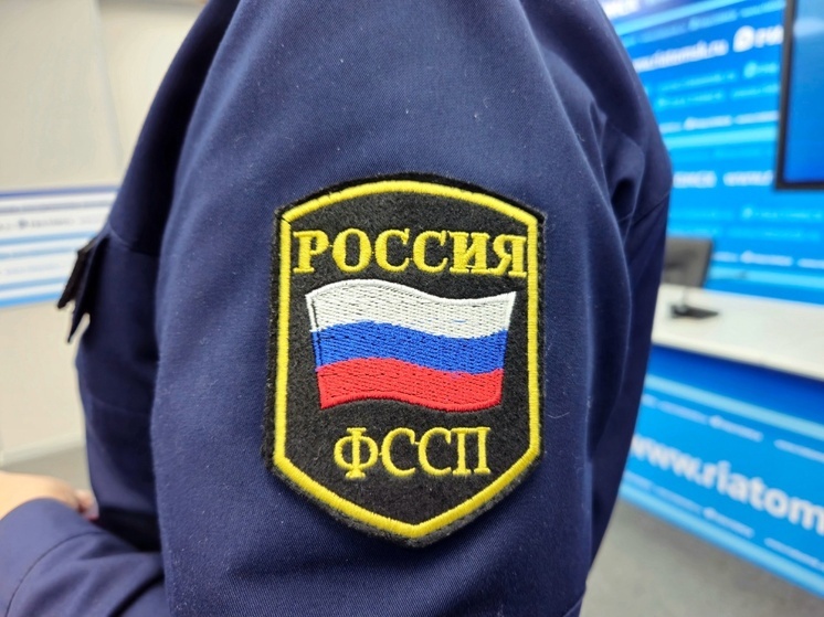 Неплательщицу алиментов из Северска поймали в Шахтах