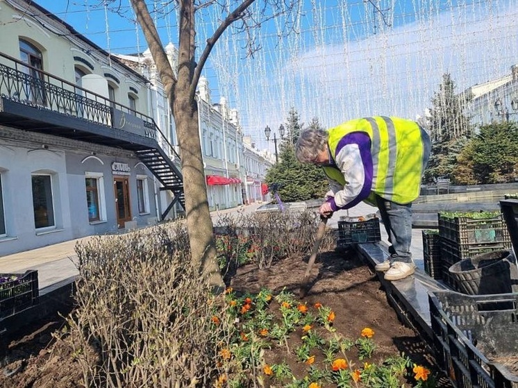 Более 200 тысяч цветов украсят клумбы Владивостока