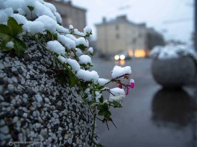 Весенний снегопад может вернуться в Карелию