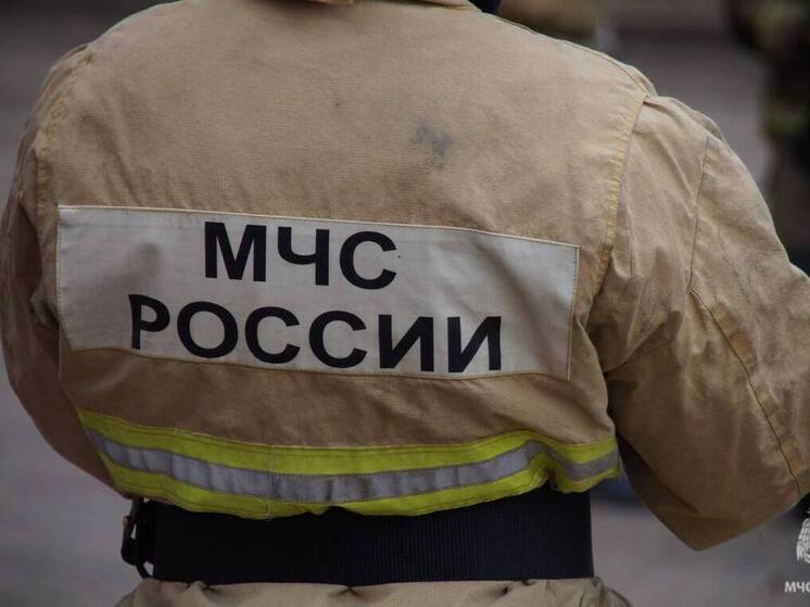 Рядом с Самарой потушено 3 лесных пожара за сутки