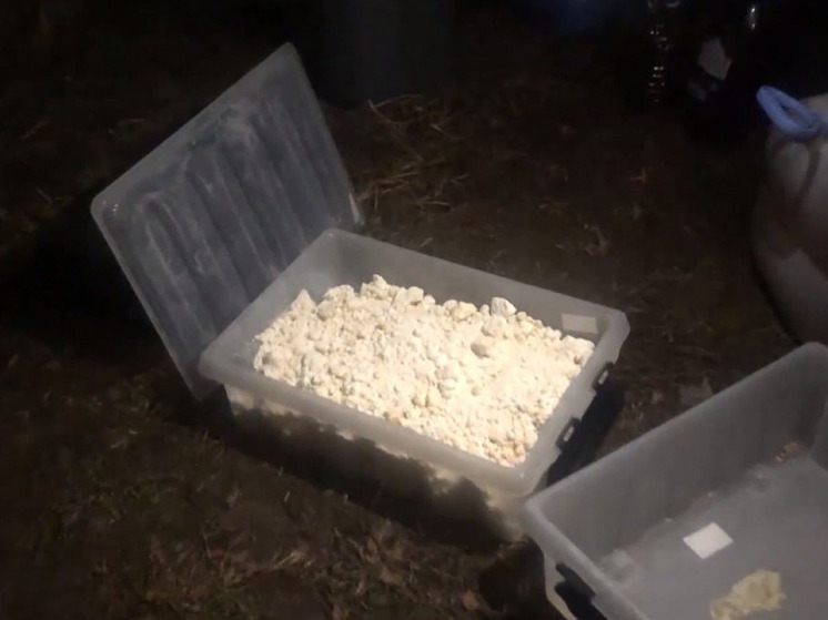 Нарколабораторию в частном доме ликвидировали силовики в Раменском