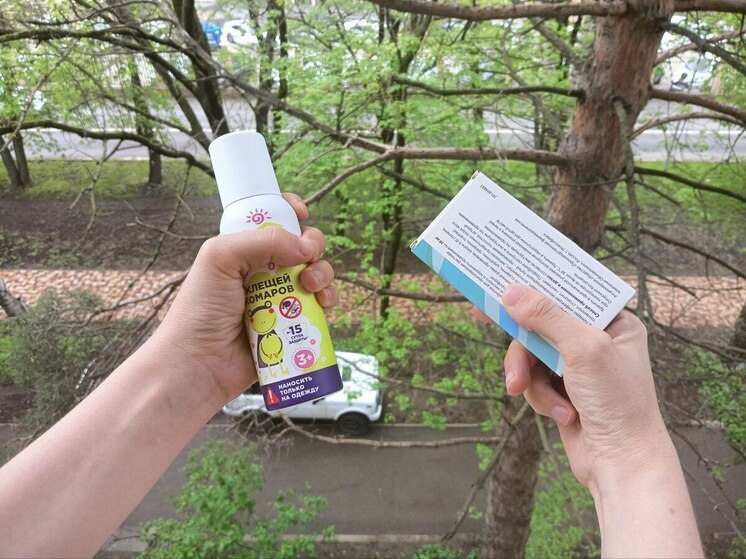 Эксперты дали петербуржцам советы по оказанию первой помощи при укусе клеща