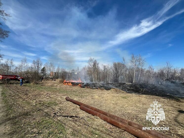 Пожар на поле в Шелехове возник из-за резки металла