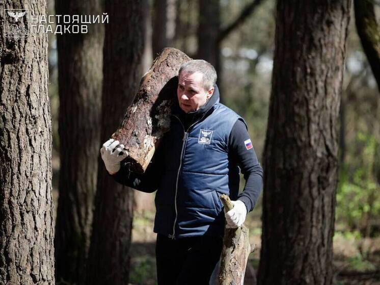 Губернатор пригласил белгородцев выйти на уборку Архиерейской рощи