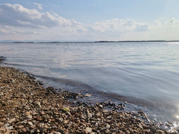 Жителей одного из районов Хабаровского края предупредили о подъеме воды в реке Амур