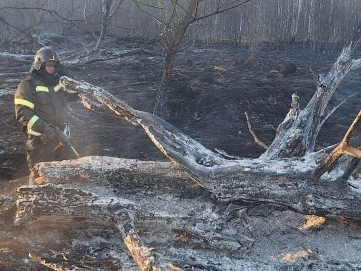 Спасатели бьют тревогу: калужане начали чаще поджигать сухую траву