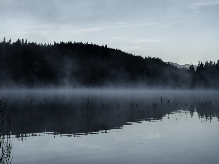 Подводные секреты Телецкого озера: что скрывается на глубине
