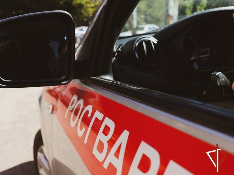 Росгвардейцы пресекли движение автомобиля под управлением нетрезвого водителя в Марий Эл