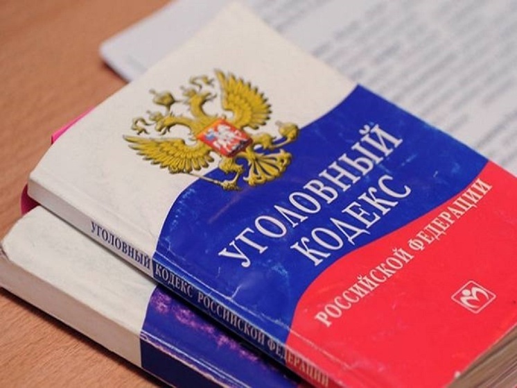 464 жителя Псковской области пострадали от рук мошенников в 2025 году