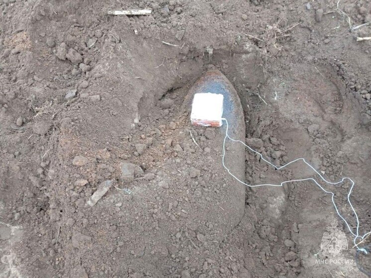 Авиабомбу времен Великой Отечественной войны нашли в Новосокольническом округе