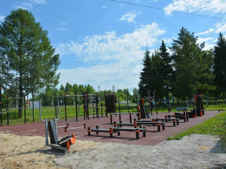 В пяти округах Чувашии появятся новые площадки для сдачи ГТО