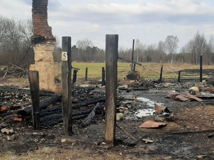 На пожарах в Омской области погибли двое мужчин