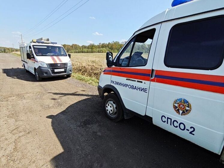 Снаряд времен ВОВ обезвредили спасатели в Можайском округе